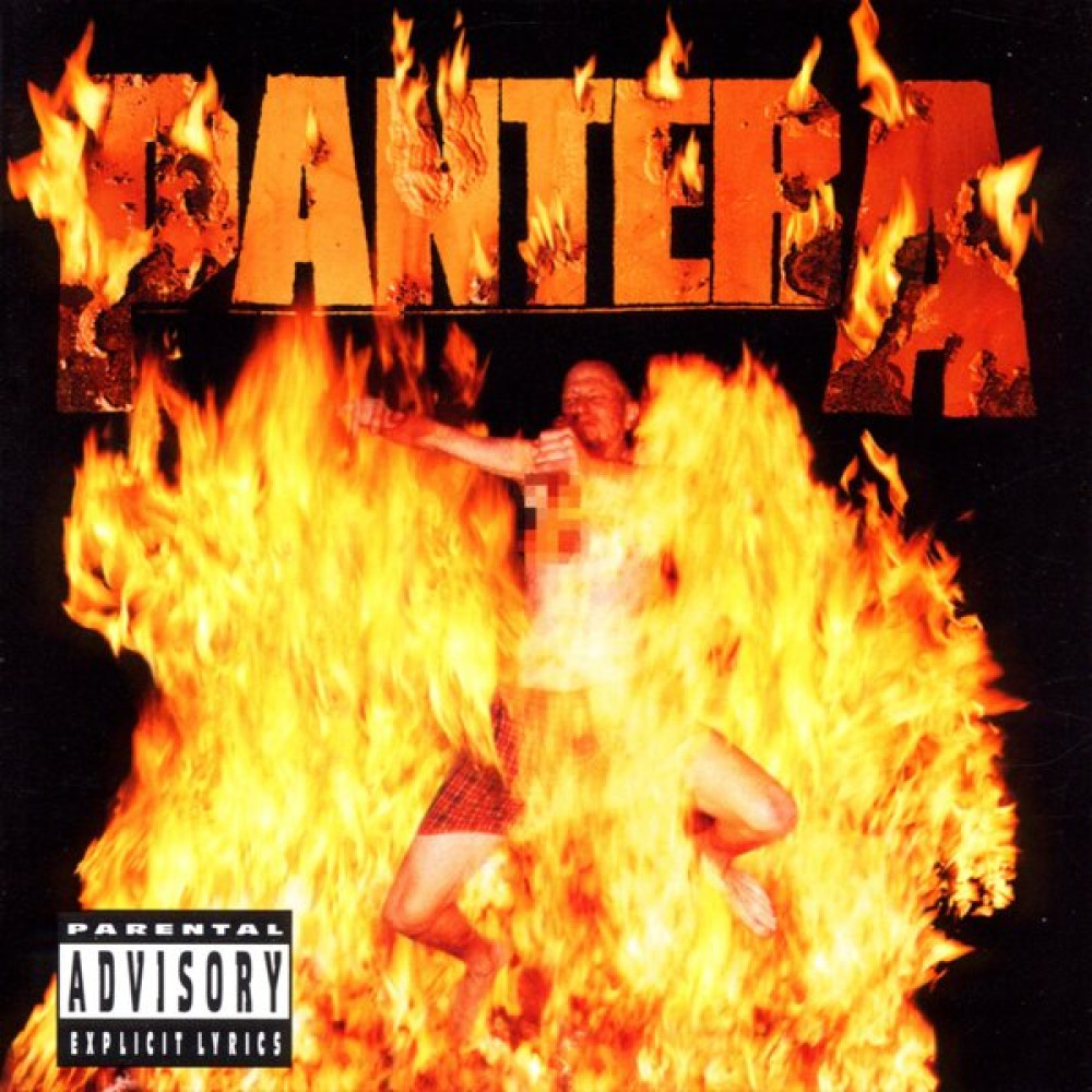 REINVENTING THE STEEL (CD)
