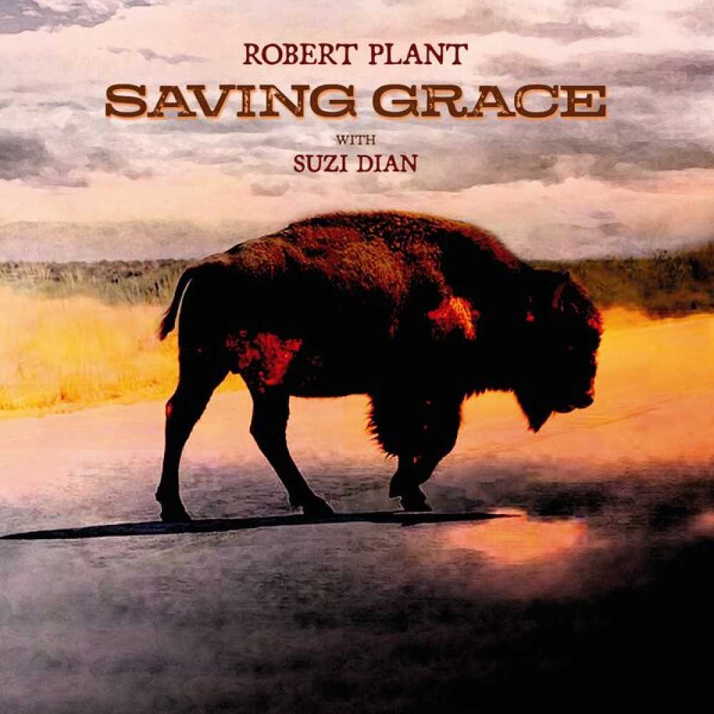 SAVING GRACE FRUIT PUNCH VINYL (LP)