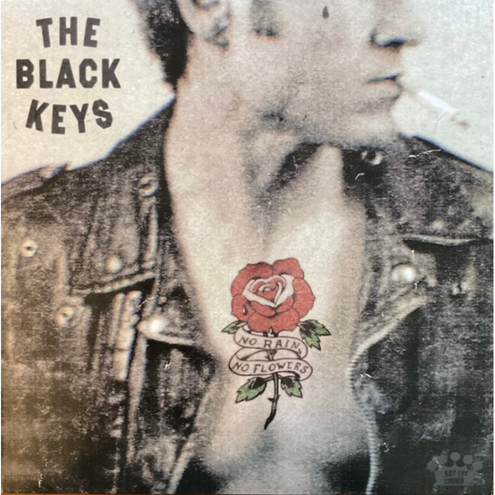 NO RAIN NO FLOWERS (LP) NO RAIN NO FLOWERS (LP)