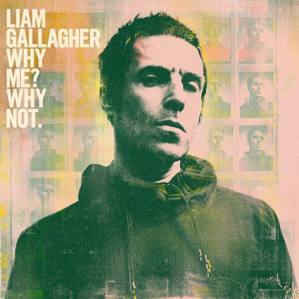 WHY ME? WHY NOT. (LP)