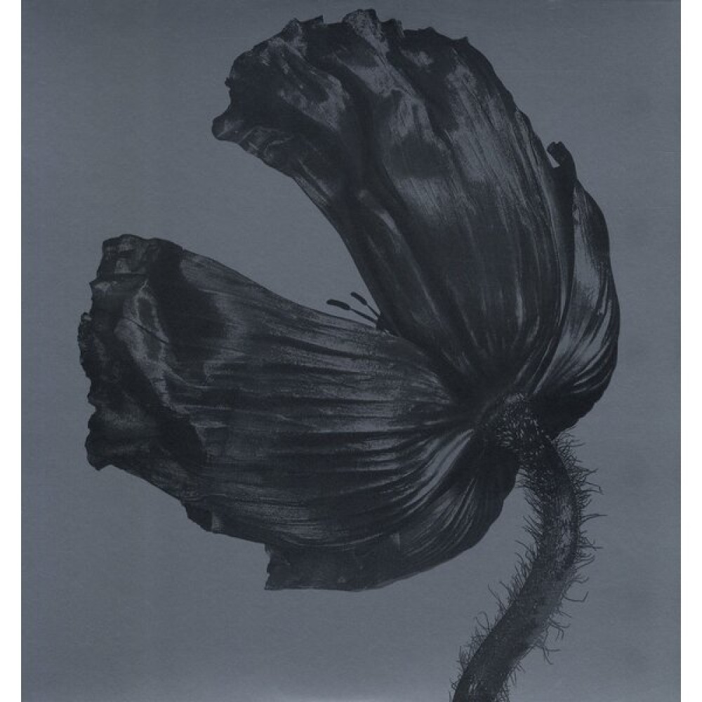 RELEASE (REMASTERED) (LP)