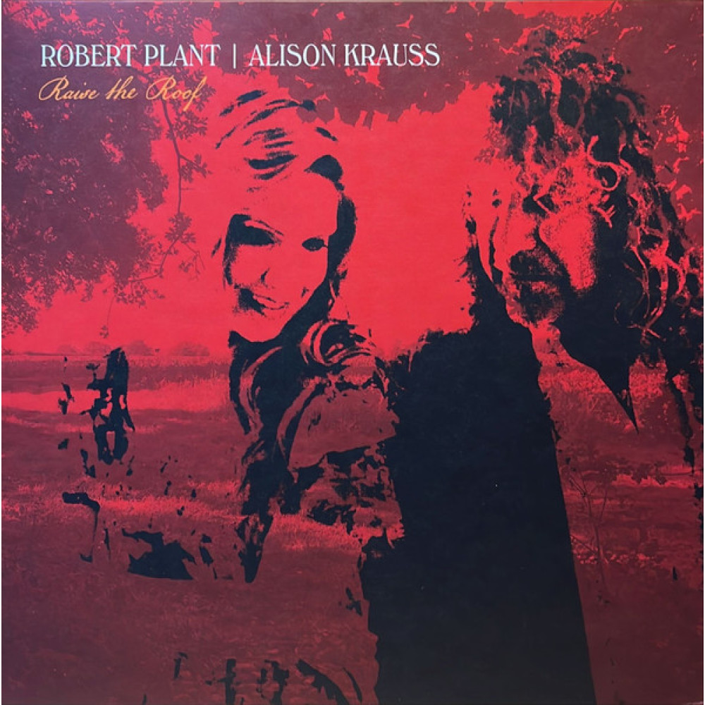 RAISE THE ROOF (2LP)