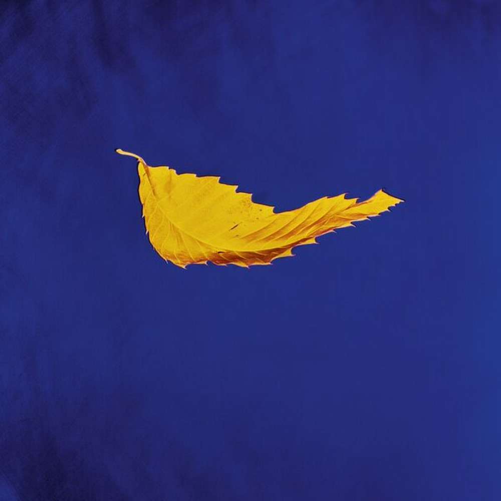 TRUE FAITH (LIMITED LP SINGLE)