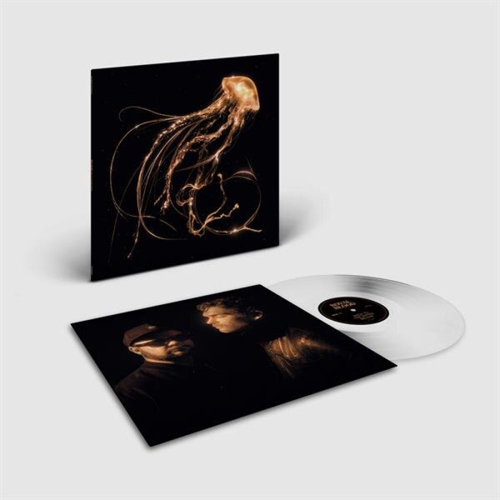 BACK TO THE WATER BELOW (LP)