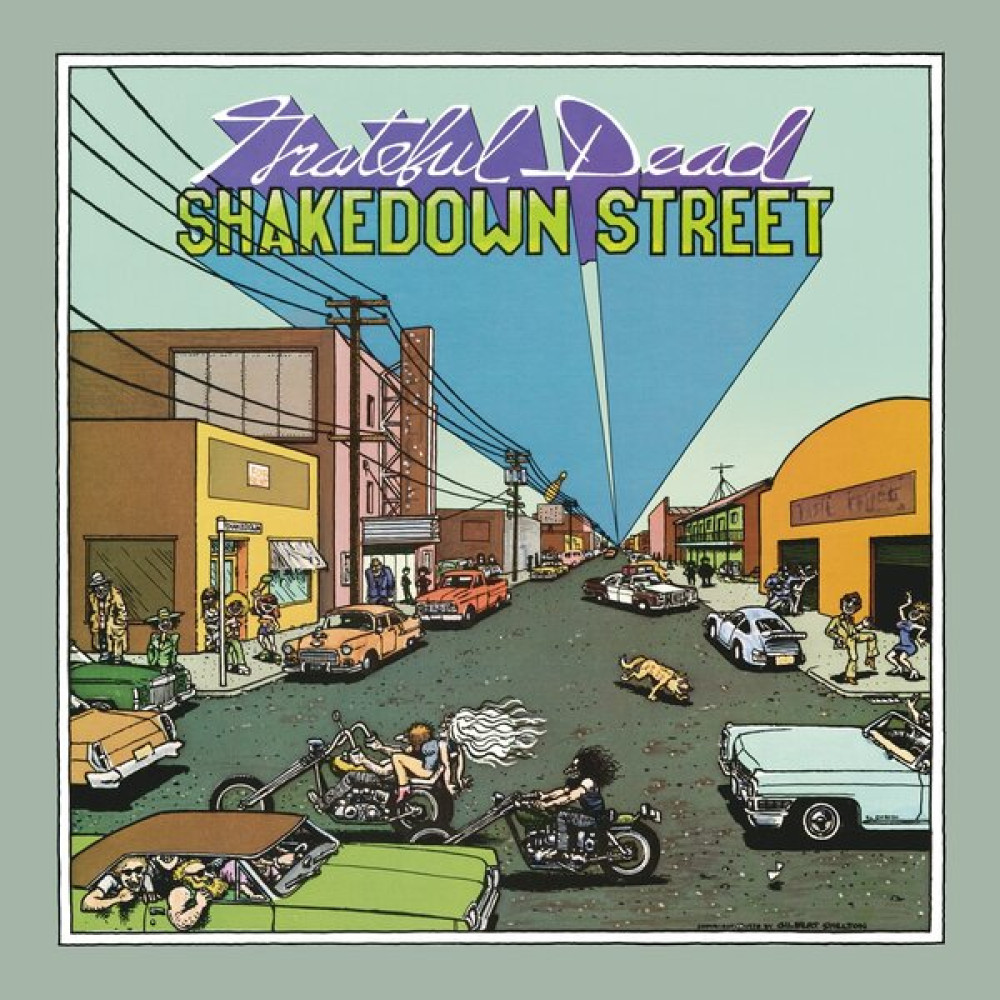 SHAKEDOWN STREET (LP)