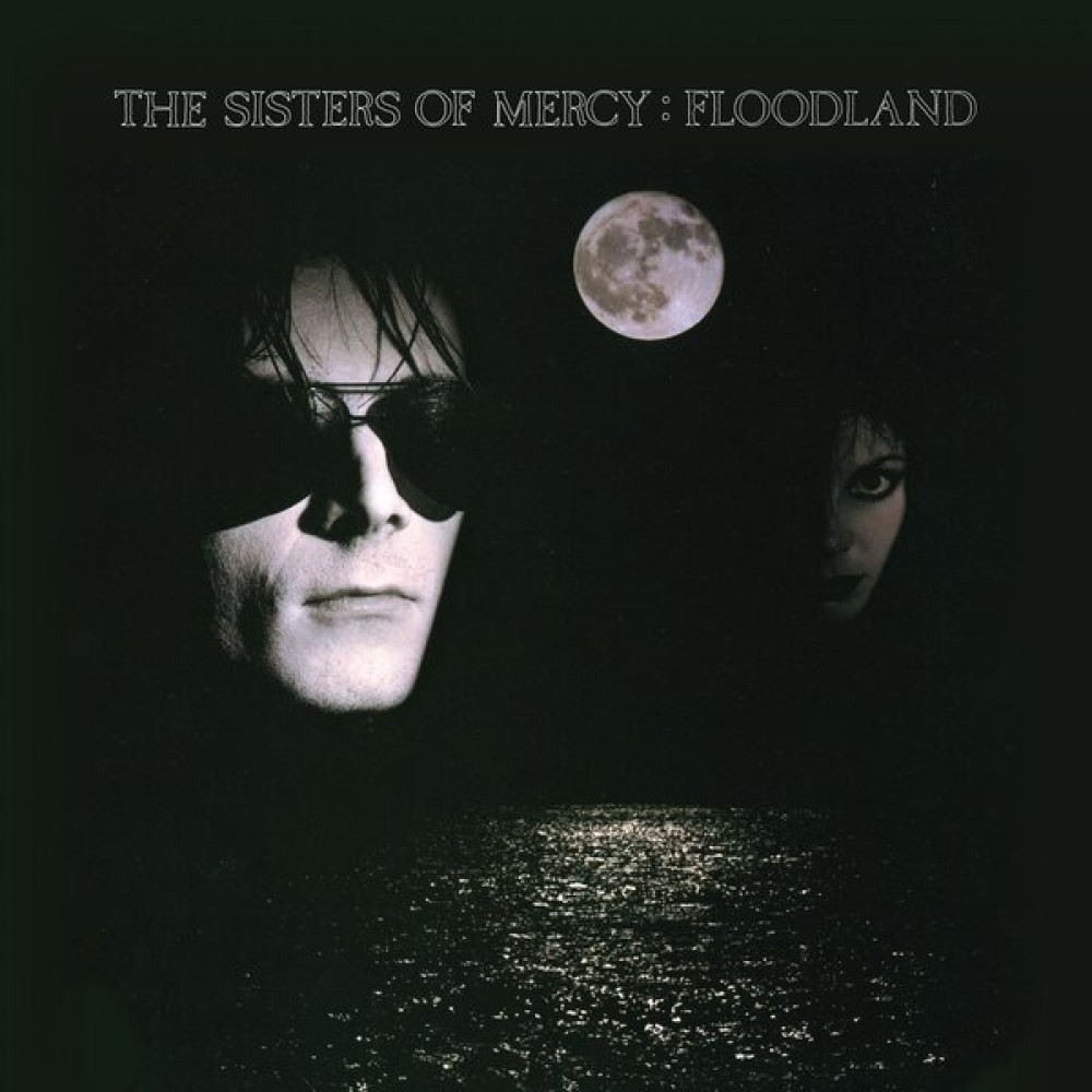 FLOODLAND (LP) FLOODLAND (LP)