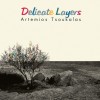 DELICATE LAYERS (CD)