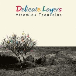DELICATE LAYERS (CD)